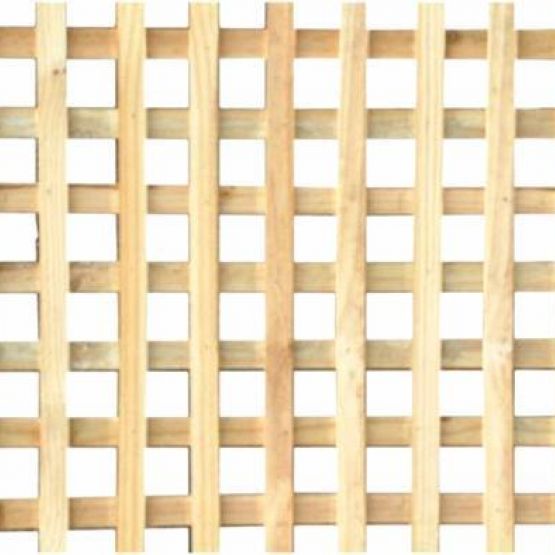 Square Lattice